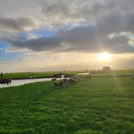 Koe En Kussen Bodegraven