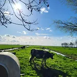 Koe En Kussen Bed & Breakfast Bodegraven
