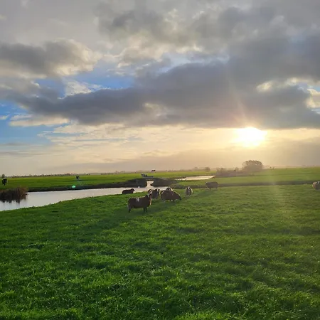 Koe En Kussen Bodegraven