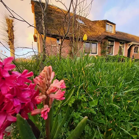 Koe En Kussen Бодегравен