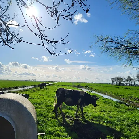 Koe En Kussen Oda ve Kahvaltı Bodegraven