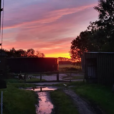 Koe En Kussen * Bodegraven