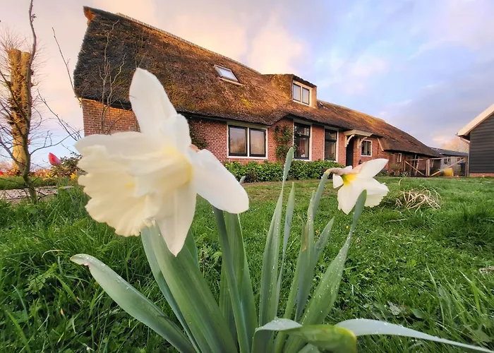 Koe En Kussen Bed & Breakfast *