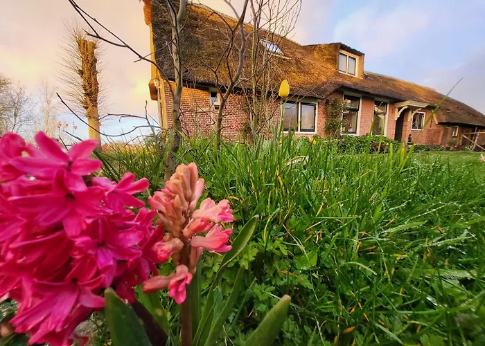 Koe En Kussen Bodegraven