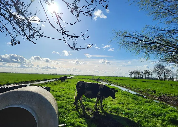 Koe En Kussen Bed & Breakfast Bodegraven