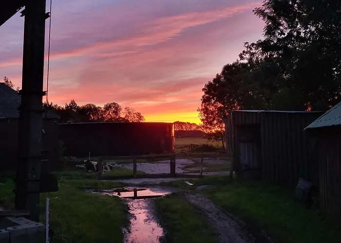 Koe En Kussen * Bodegraven