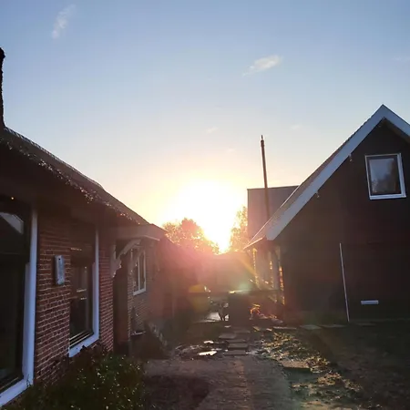 Koe En Kussen Bodegraven