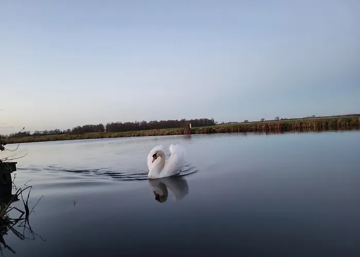 Panzió Koe En Kussen